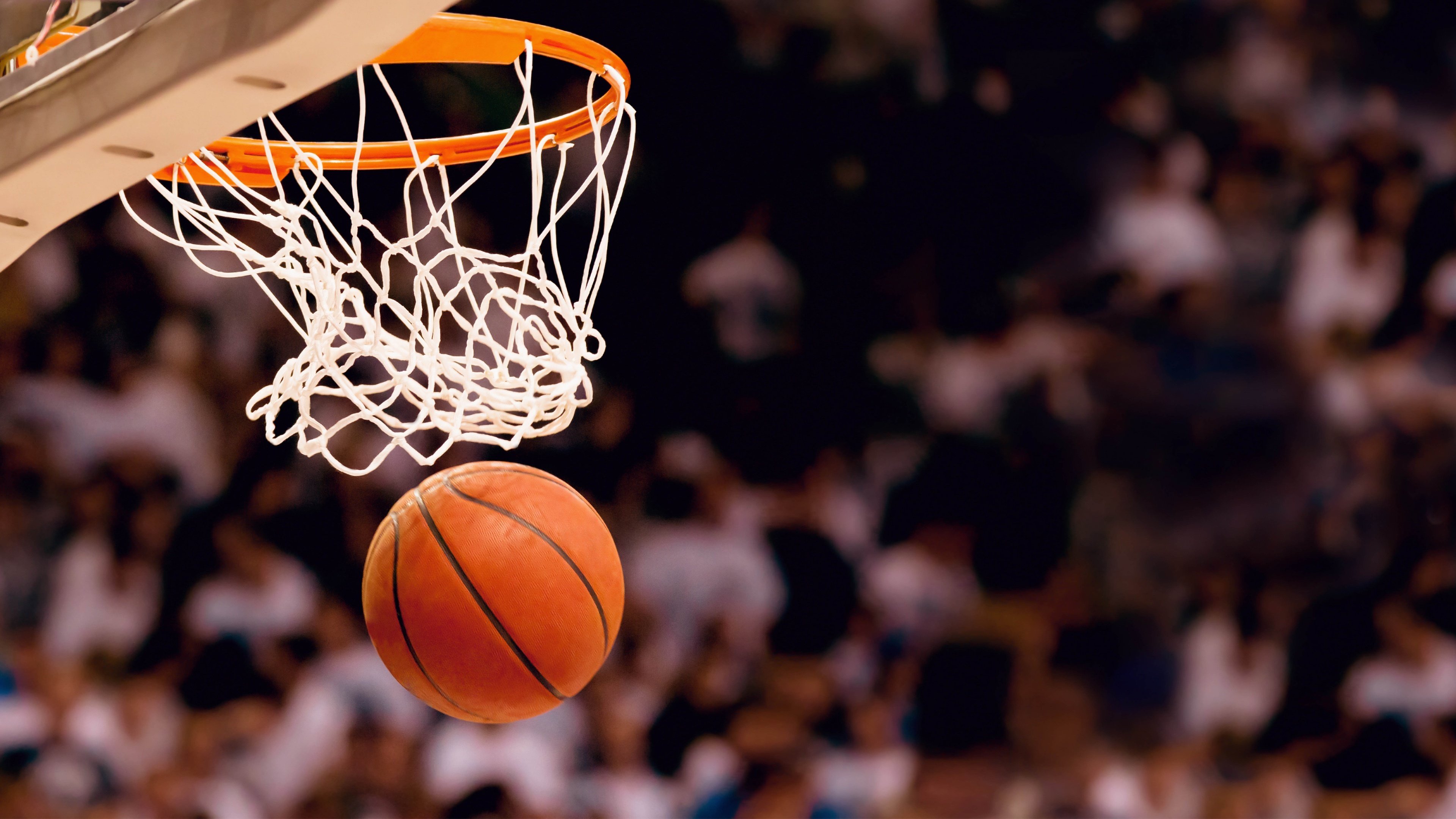 双线闪耀!塔图姆十赛季高光引爆NBA,拜仁球迷为之沸腾